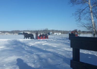 Fort St John Sleigh rides: High on ice