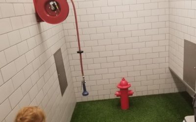A doggie bathroom in Houston Texas airport, USA!